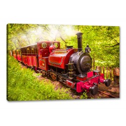 Tablou Canvas Mocanita