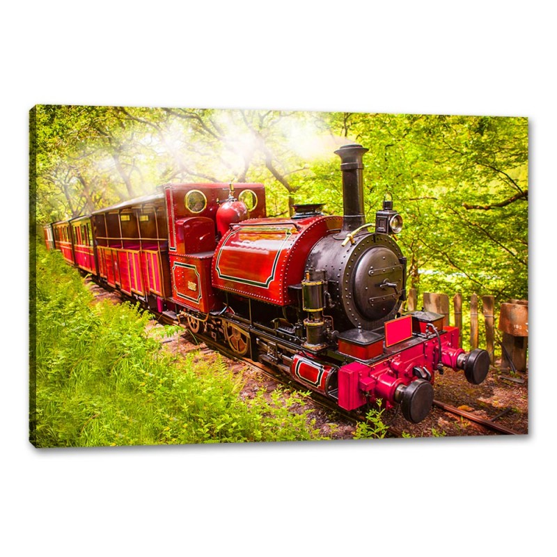 Tablou Canvas Mocanita Tablou Canvas Mocanita